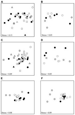 The Effect of Shading and Nutrient Addition on the Microphytobenthos, Macrofauna, and Biogeochemical Properties of Intertidal Flat Sediments